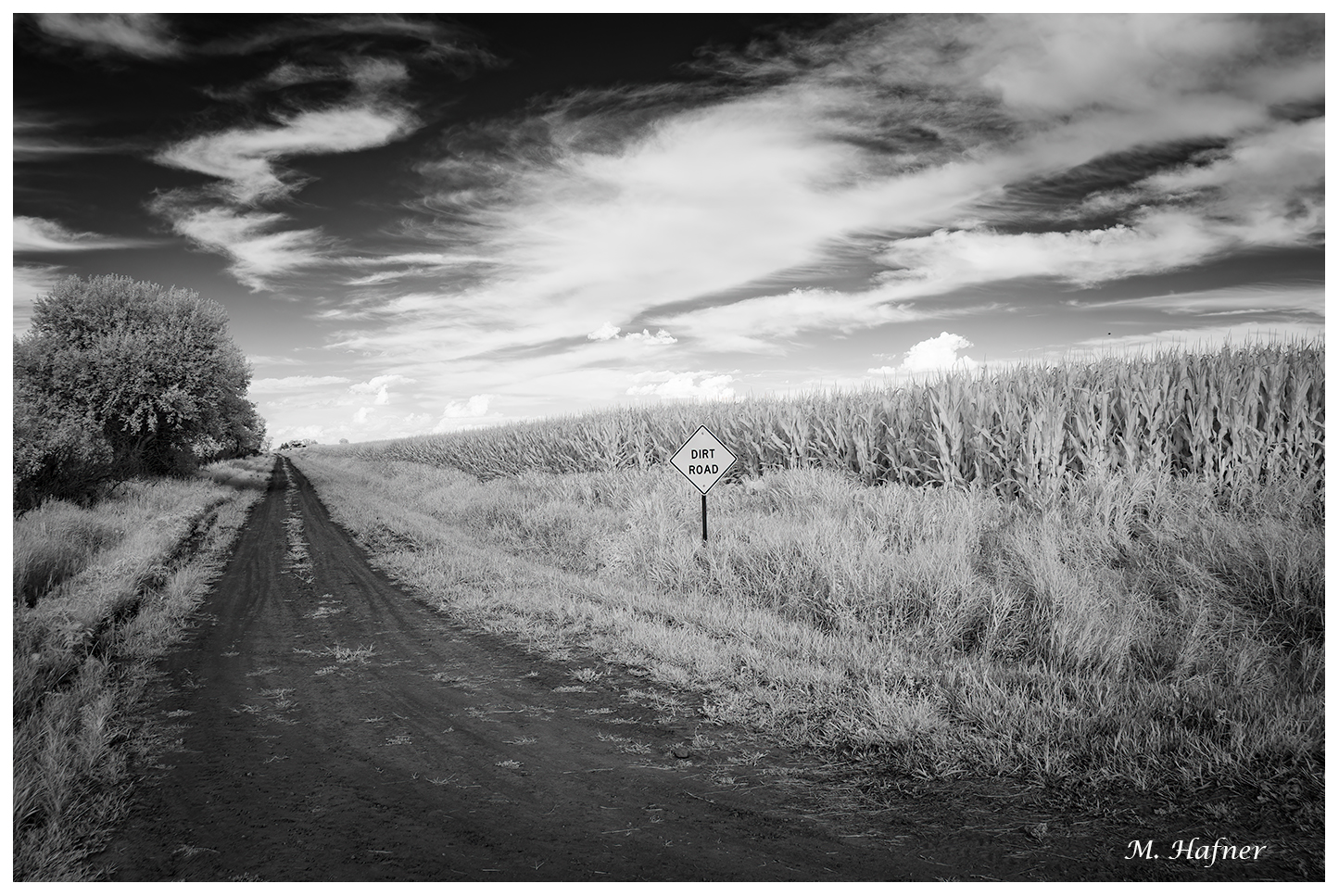 Dirt Road at 720 nM f8161209 a424 4ab3 8d94 6b2b65856309